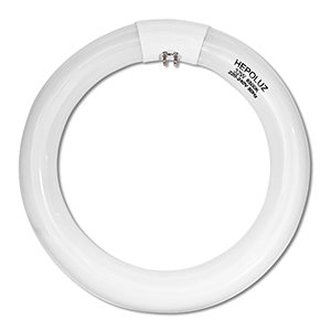 Tubo T9 trifósforo circular 32W 6500ºK 305mm Luz día